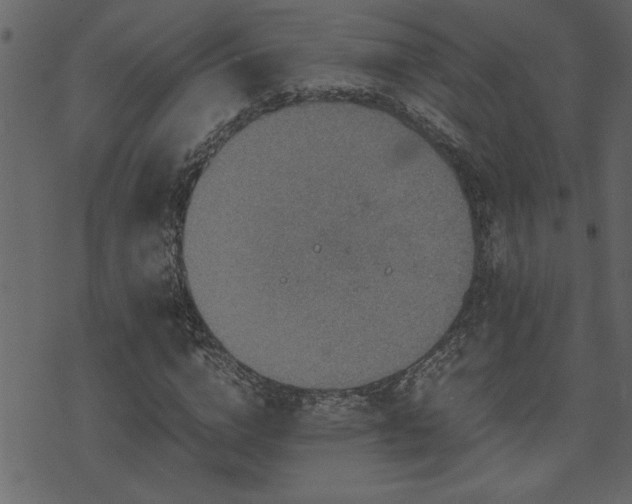 X0000071760824200606301128