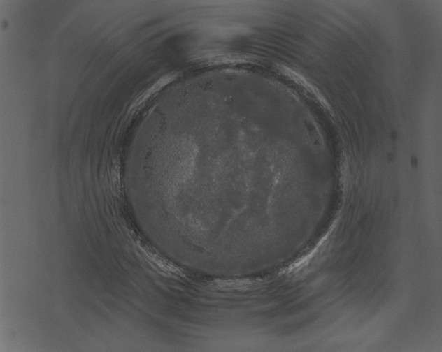 X0000071760825200606301128