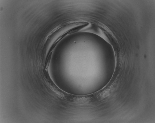 X0000071760826200606301128