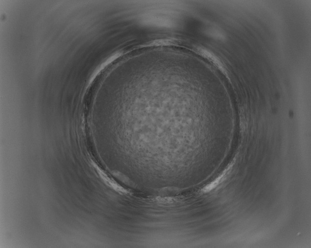 X0000071760827200606301128