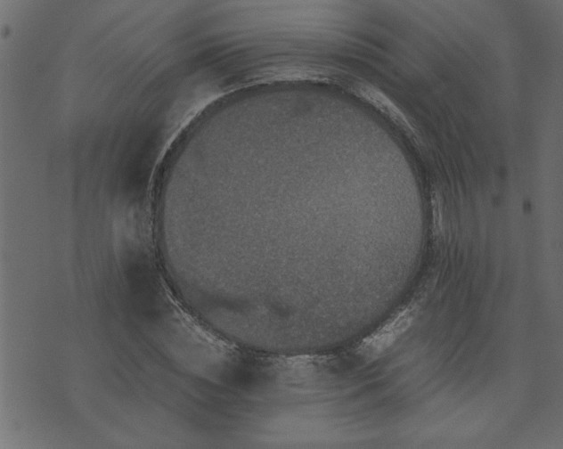 X0000071760828200606301128