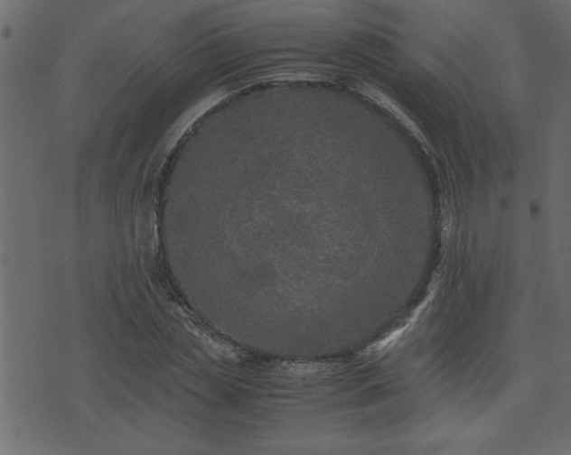 X0000071760829200606301128