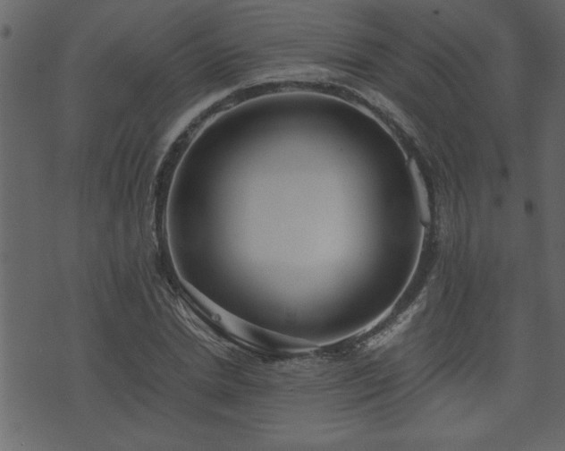 X0000071760830200606301128