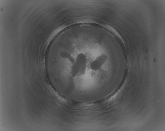 X0000071760831200606301128