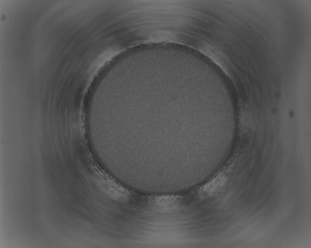 X0000071760832200606301128