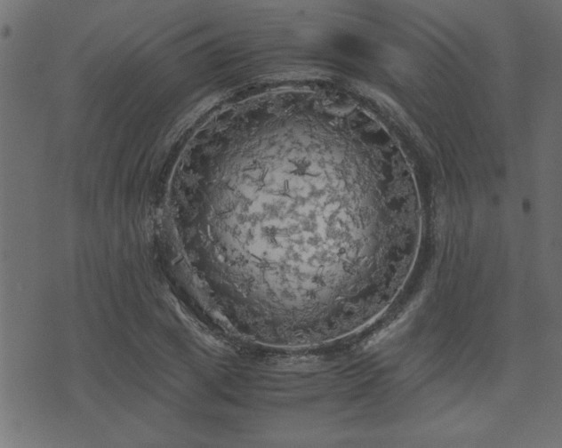 X0000071760833200606301128