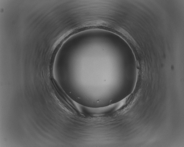 X0000071760834200606301128