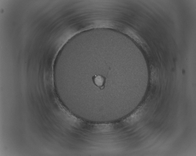 X0000071760836200606301128