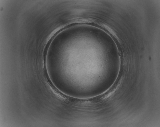 X0000071760837200606301128