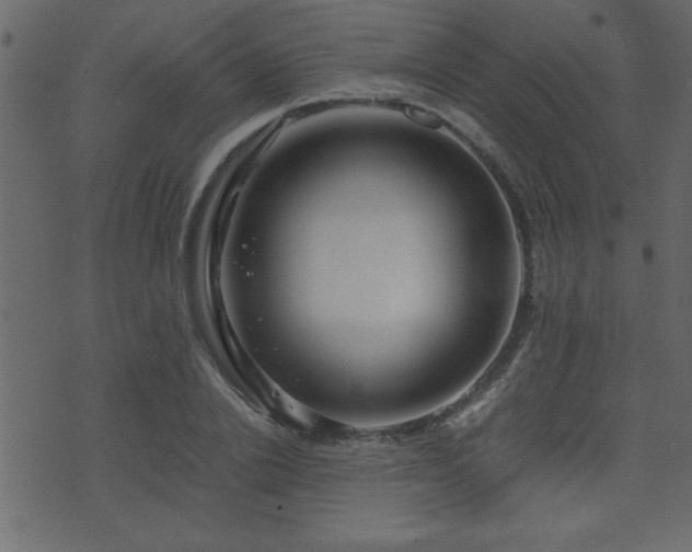 X0000071760838200606301128