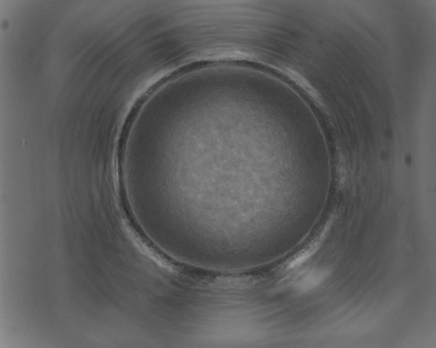 X0000071760840200606301128