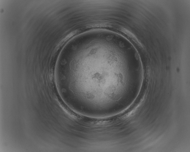 X0000071760841200606301128