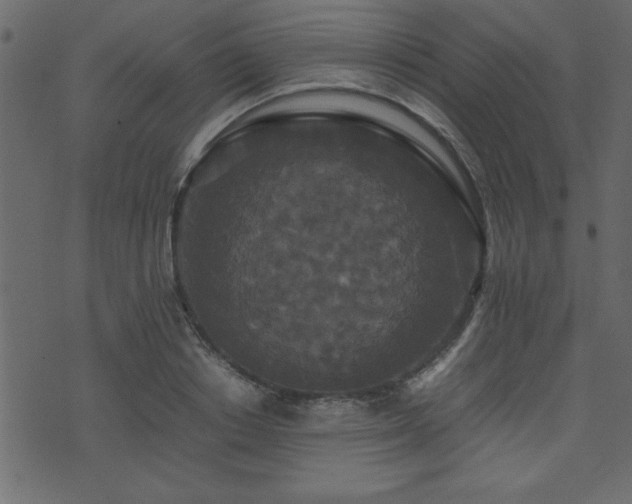 X0000071760842200606301128