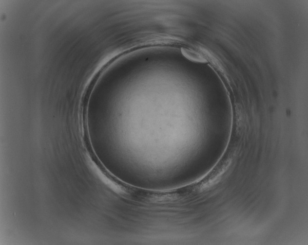 X0000071760843200606301128