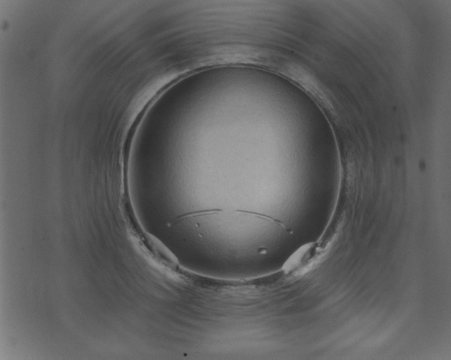 X0000071760844200606301128