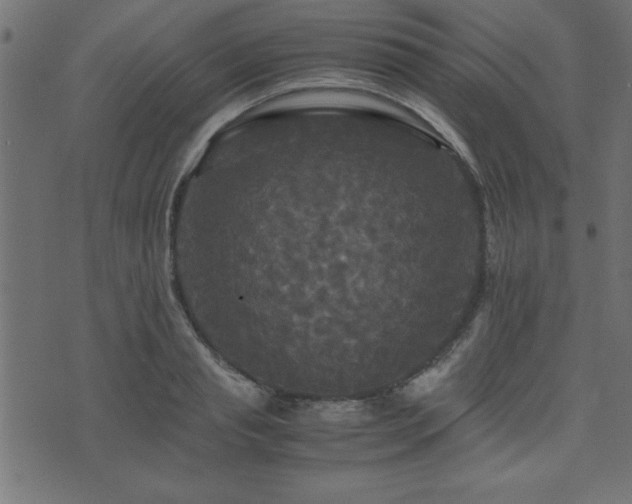 X0000071760845200606301128