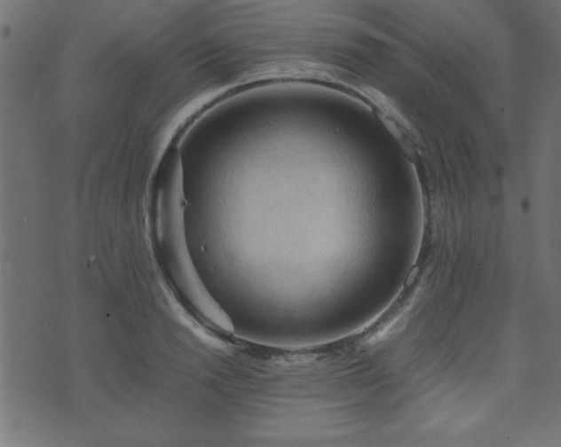 X0000071760846200606301128