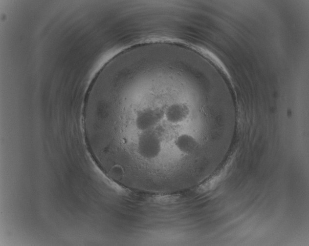 X0000071760847200606301128