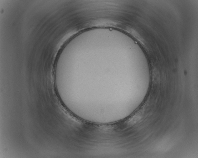 X0000071760848200606301128