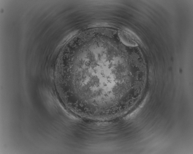 X0000071760849200606301128