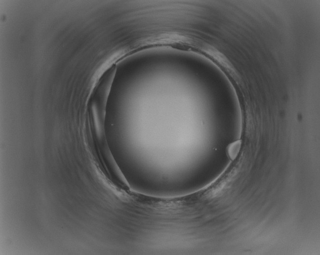 X0000071760850200606301128