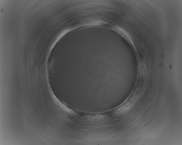 X0000071760851200606301128