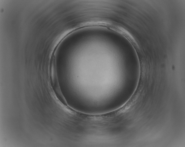 X0000071760852200606301128