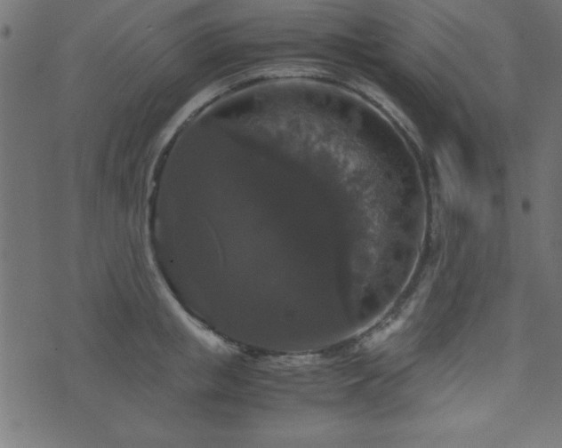 X0000071760853200606301128