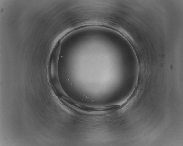 X0000071760854200606301128