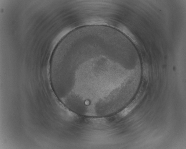 X0000071760856200606301128