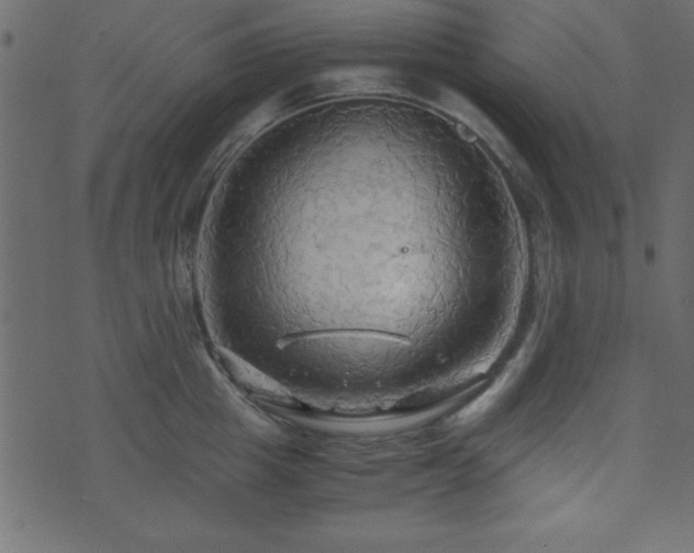 X0000071760857200606301128