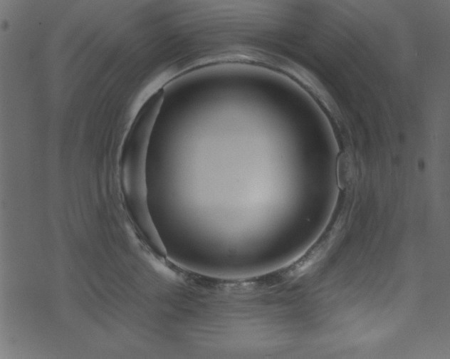 X0000071760858200606301128