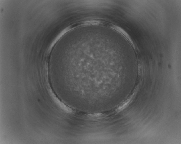 X0000071760859200606301128