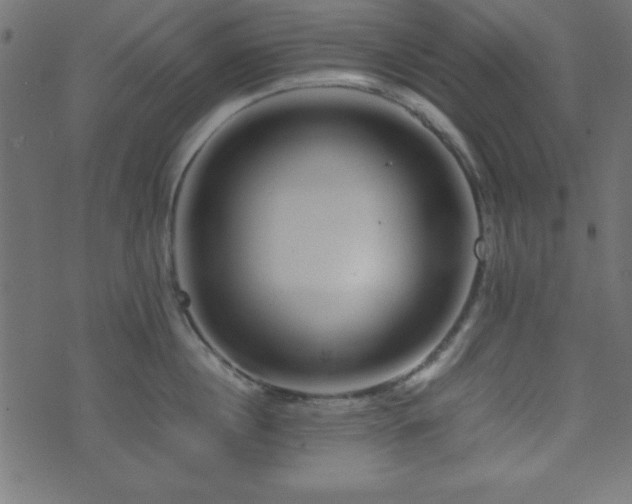 X0000071760860200606301129