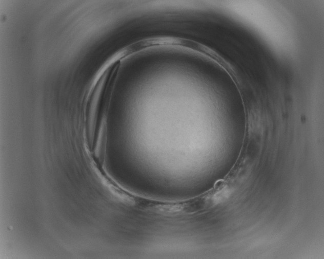 X0000071760861200606301129