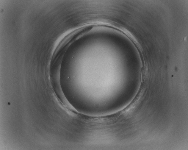 X0000071760862200606301129