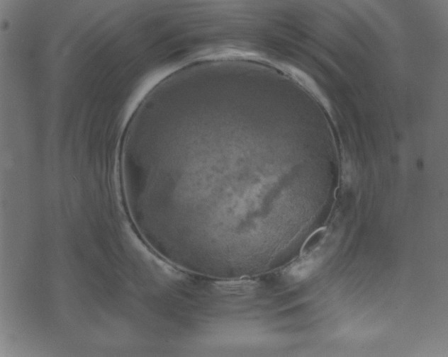 X0000071760863200606301129