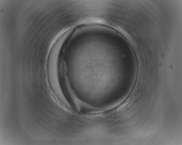 X0000071760864200606301129