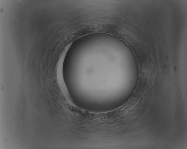 X0000071760865200606301128