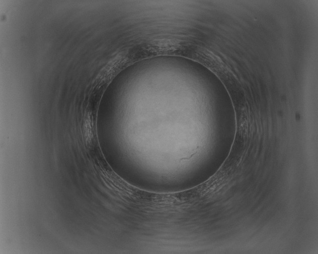 X0000071760866200606301128