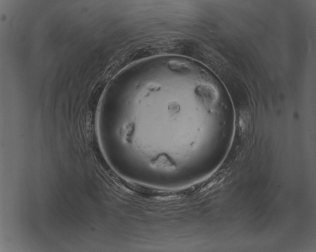 X0000071760867200606301128