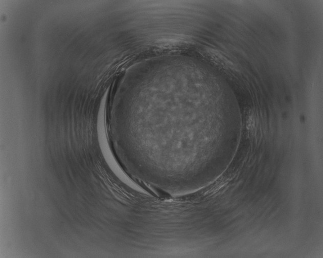 X0000071760868200606301128