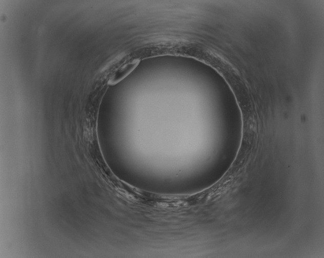 X0000071760869200606301128