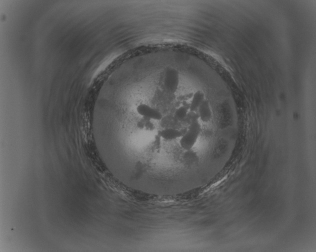 X0000071760871200606301128