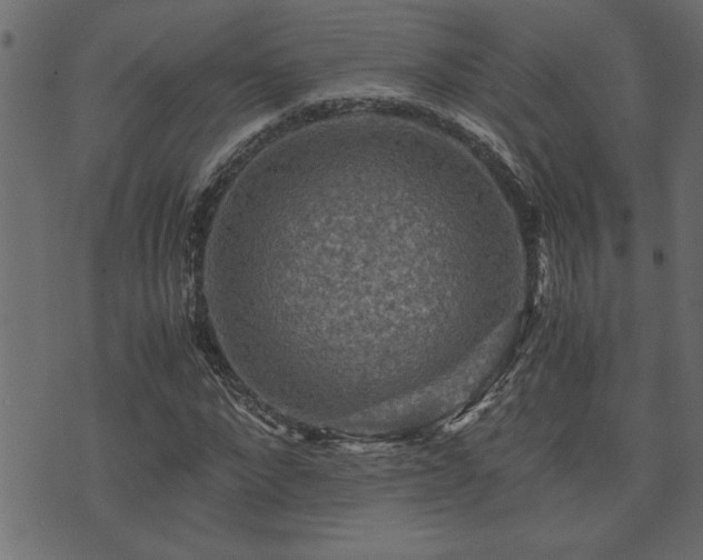 X0000071760872200606301128