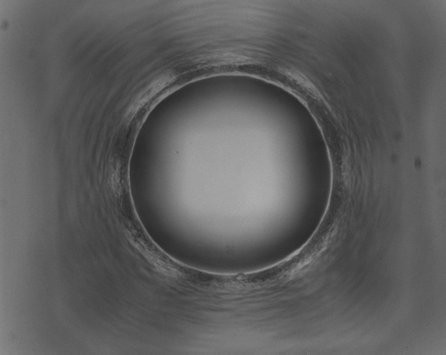 X0000071760873200606301128