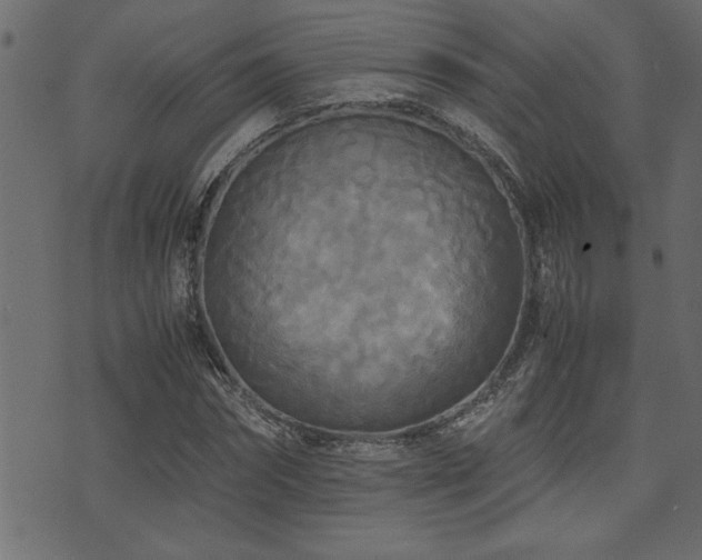 X0000071760874200606301128