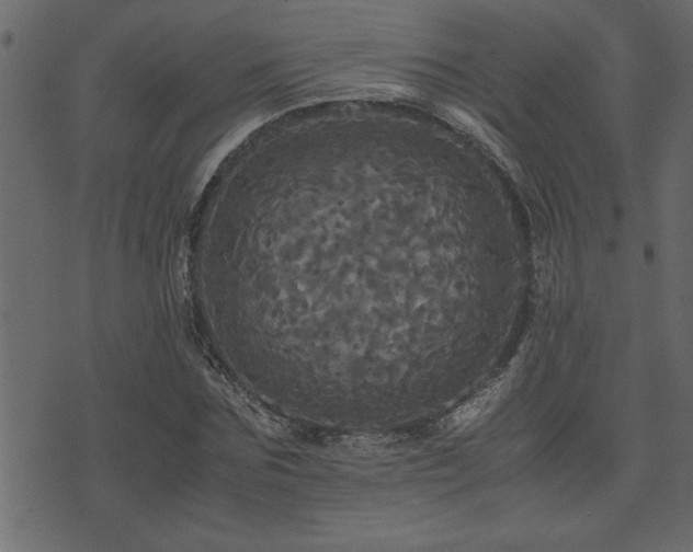 X0000071760875200606301128