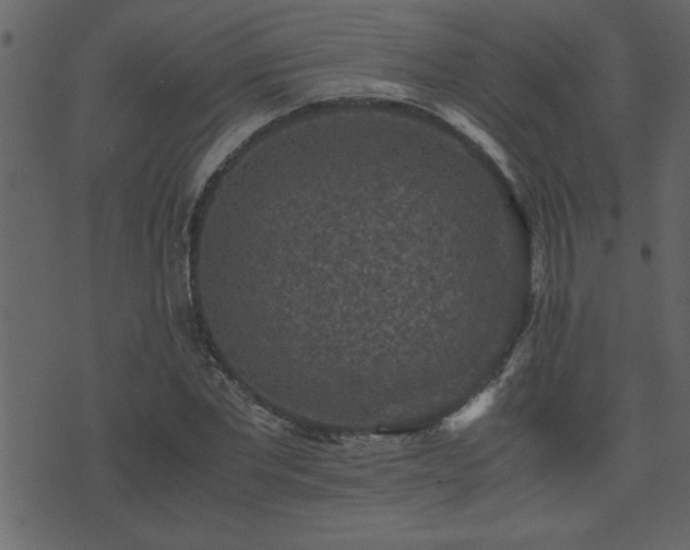 X0000071760877200606301128