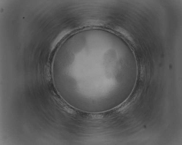 X0000071760878200606301128